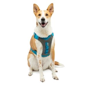 Kurgo Journey Dog Harness Blue